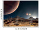From Hypothetical Moon Orbit Wall Decal