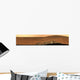 Panoramic Mars Wall Decal Design 1