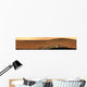 Panoramic Mars Wall Decal Design 1