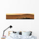 Panoramic Mars Wall Decal Design 1
