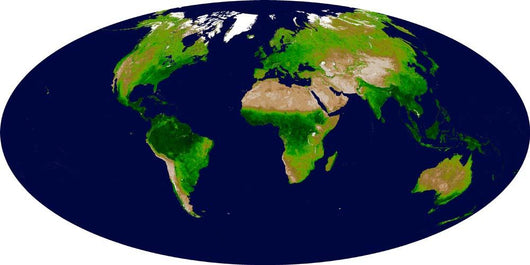 Enhanced Vegetation Index Map Wall Decal