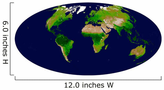 Enhanced Vegetation Index Map Wall Decal