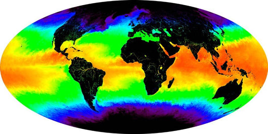 Sea Surface Temperature Wall Decal
