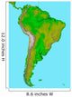 Topographic South America Wall Decal