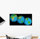 Topographic Views World Wall Decal