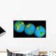 Topographic Views World Wall Decal