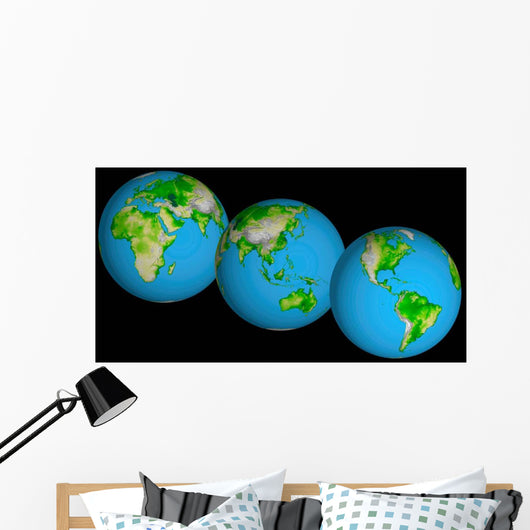 Topographic Views World Wall Decal
