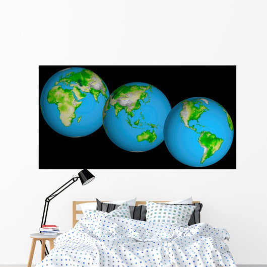 Topographic Views World Wall Decal