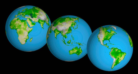 Topographic Views World Wall Decal
