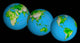 Topographic Views World Wall Decal