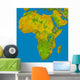 Topographic Africa Wall Decal
