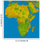Topographic Africa Wall Decal