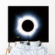 Solar Eclipse Wall Decal
