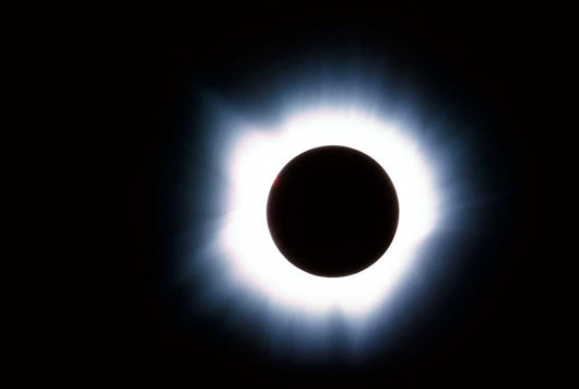 Solar Eclipse Wall Decal