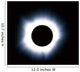 Solar Eclipse Wall Decal