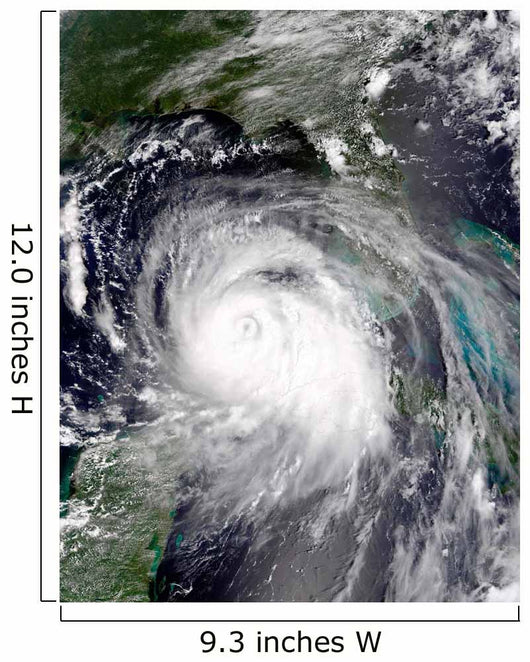 Hurricane Katrina Wall Decal Design 1
