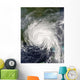 Hurricane Dennis Wall Decal Design 1