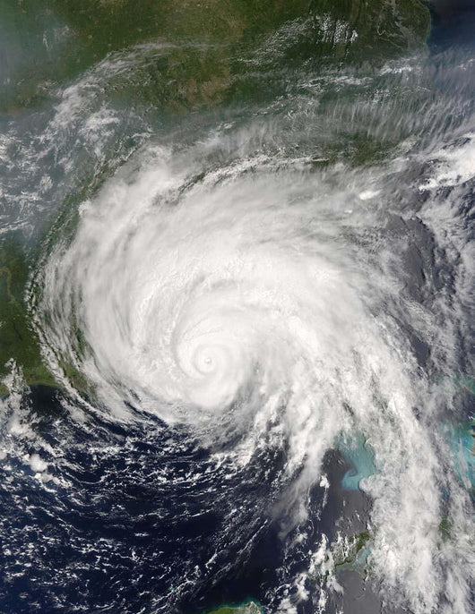 Hurricane Dennis Wall Decal Design 1