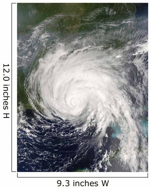 Hurricane Dennis Wall Decal Design 1