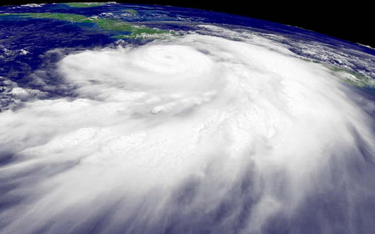 Hurricane Dennis Wall Decal Design 2