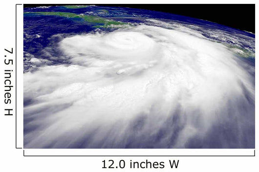 Hurricane Dennis Wall Decal Design 2