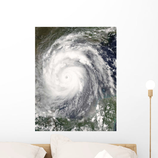 Hurricane Emily Wall Decal