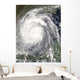 Hurricane Emily Wall Decal