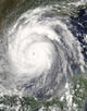 Hurricane Emily Wall Decal
