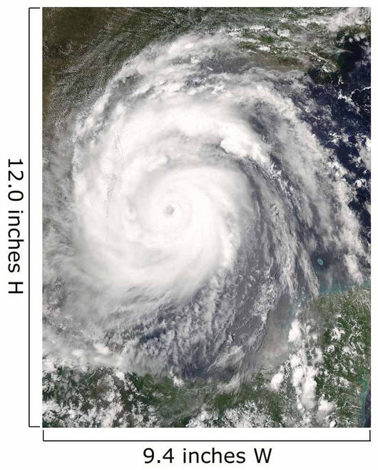 Hurricane Emily Wall Decal