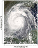 Hurricane Emily Wall Decal