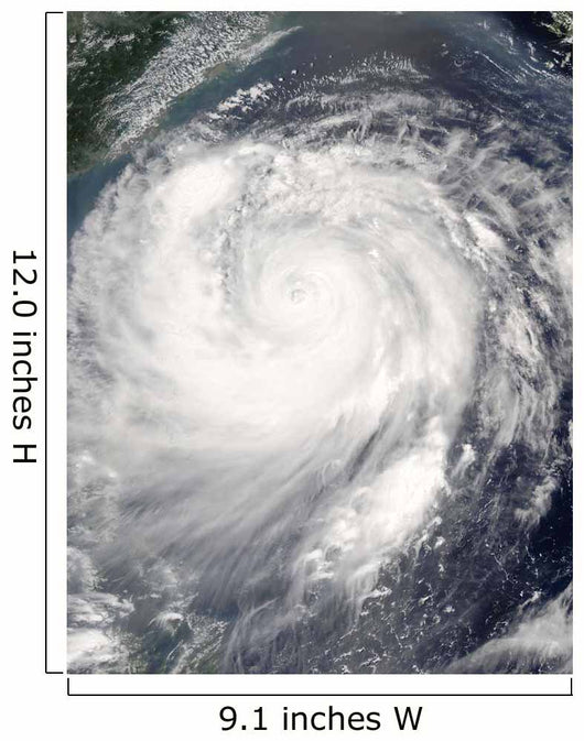 Typhoon Haitang Wall Decal