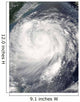 Typhoon Haitang Wall Decal