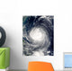 Typhoon Talim Wall Decal