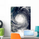 Typhoon Talim Wall Decal