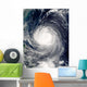 Typhoon Talim Wall Decal