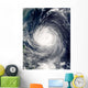 Typhoon Talim Wall Decal