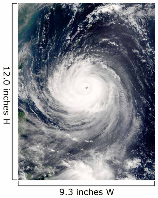 Typhoon Talim Wall Decal