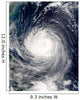 Typhoon Talim Wall Decal