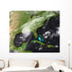 Hurricane Katrina Wall Decal Design 2