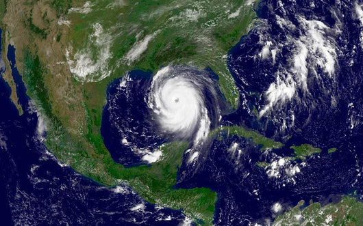 Hurricane Katrina Wall Decal Design 3