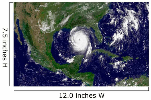 Hurricane Katrina Wall Decal Design 3