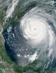 Hurricane Katrina Wall Decal Design 4