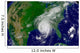 Hurricane Katrina Wall Decal Design 6