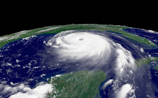 Hurricane Katrina Regional Imagery Wall Decal