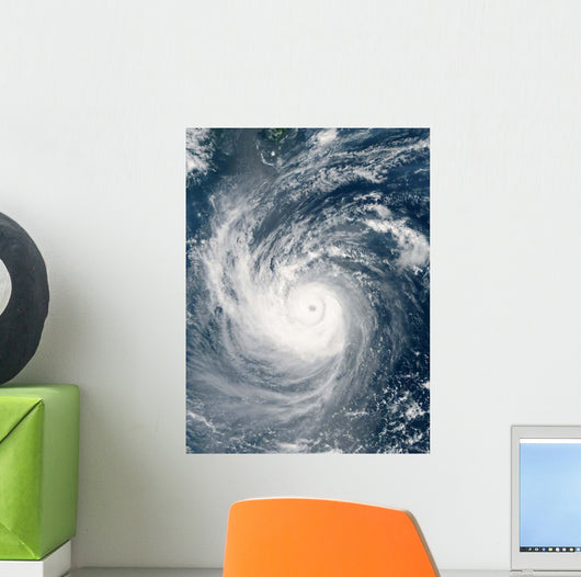 Typhoon Taim Wall Decal