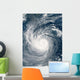 Typhoon Taim Wall Decal