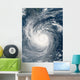 Typhoon Taim Wall Decal