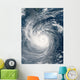 Typhoon Taim Wall Decal