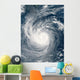 Typhoon Taim Wall Decal