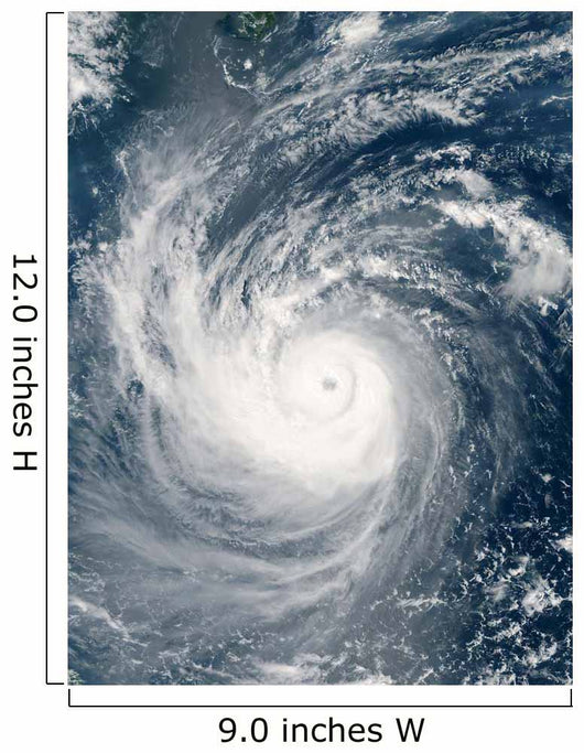 Typhoon Taim Wall Decal